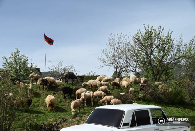 Предпринимаются все необходимые шаги для возвращения оказавшегося на азербайджанской стороне пастуха: МО