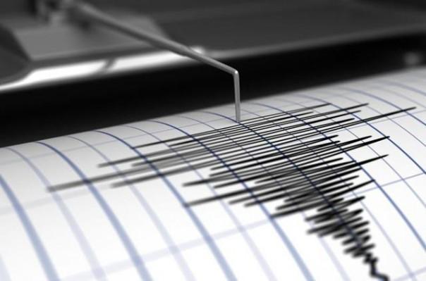 На юге Ирана произошло землетрясение магнитудой 4,6