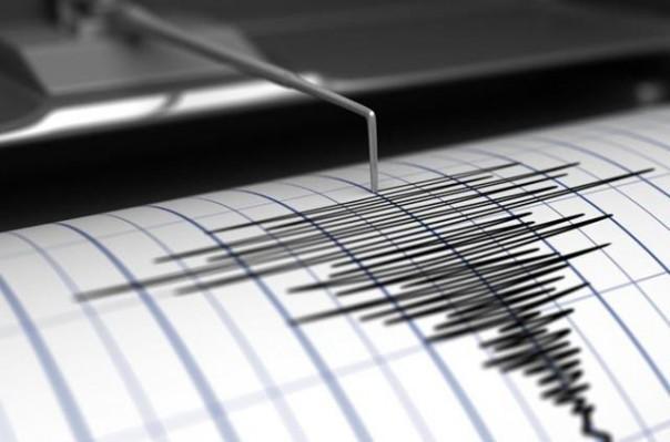 Землетрясение магнитудой 5,6 произошло в Турции