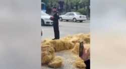 Քաղաքացիները փողոցը փակել են չոր խոտի տուկերով